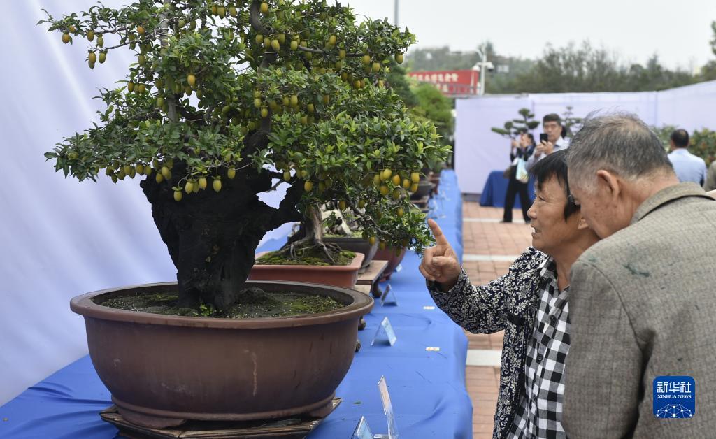 杰克棋牌官网